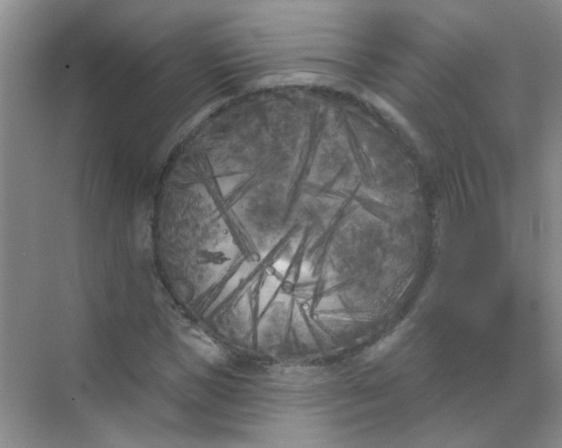 X0000070240921200606161842