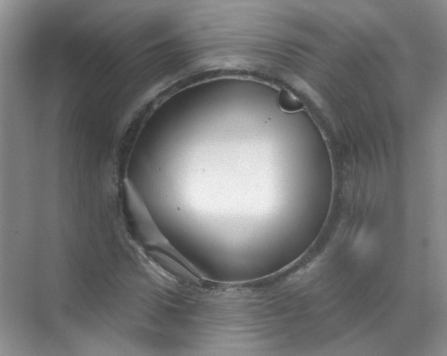 X0000070240922200606161842