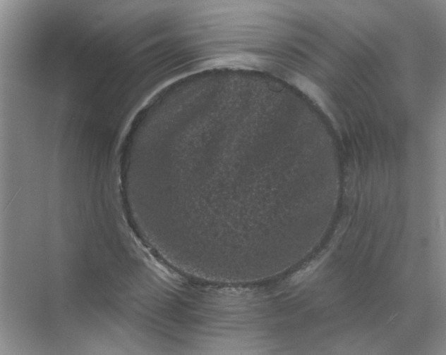 X0000070240923200606161842