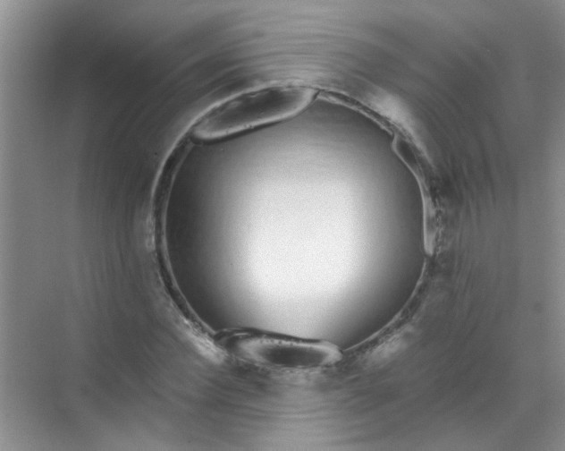 X0000070240924200606161842