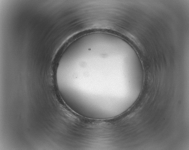 X0000070240926200606161842