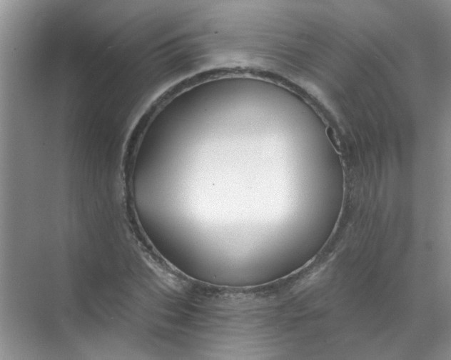 X0000070240927200606161842