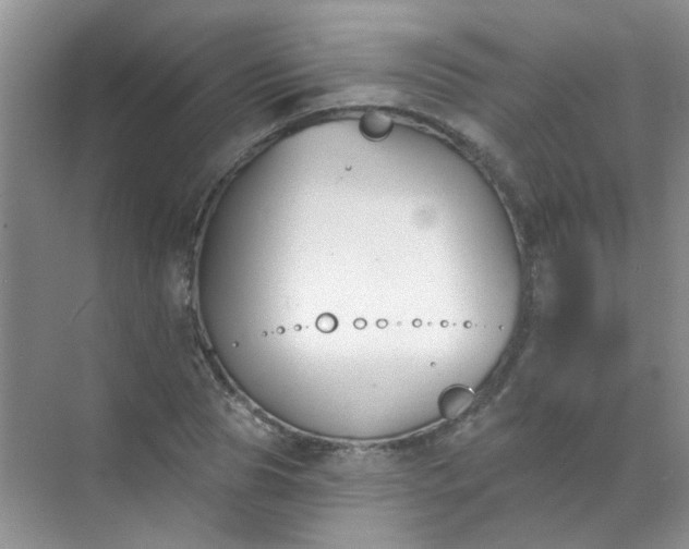 X0000070240929200606161842