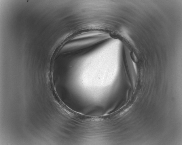 X0000070240930200606161842