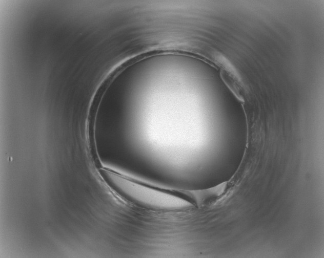 X0000070240932200606161842