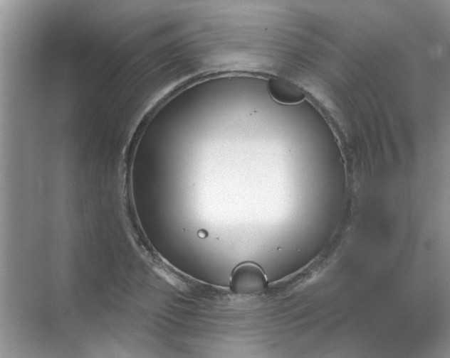 X0000070240933200606161842