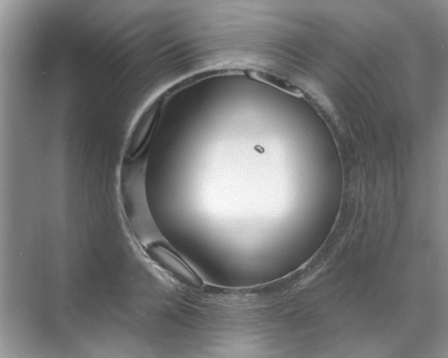 X0000070240936200606161842