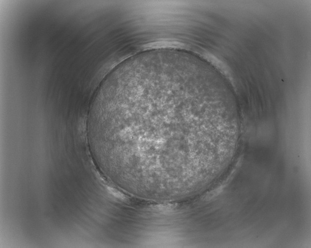 X0000070240937200606161842