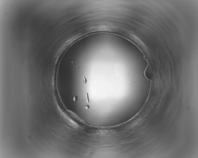 X0000070240938200606161842