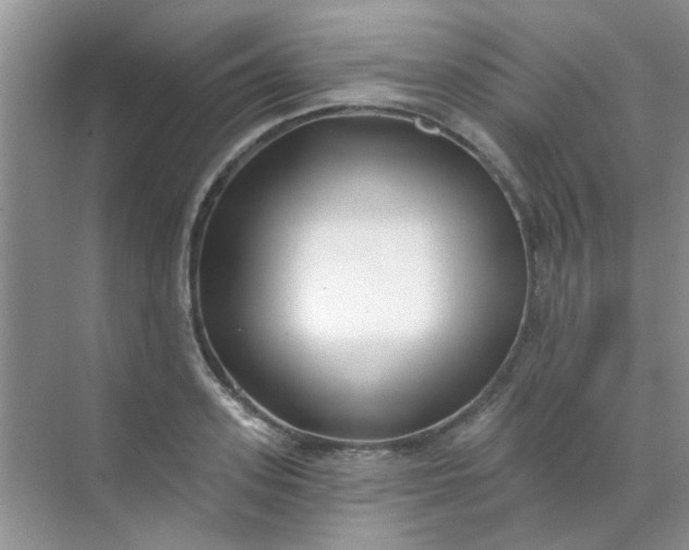 X0000070240939200606161842