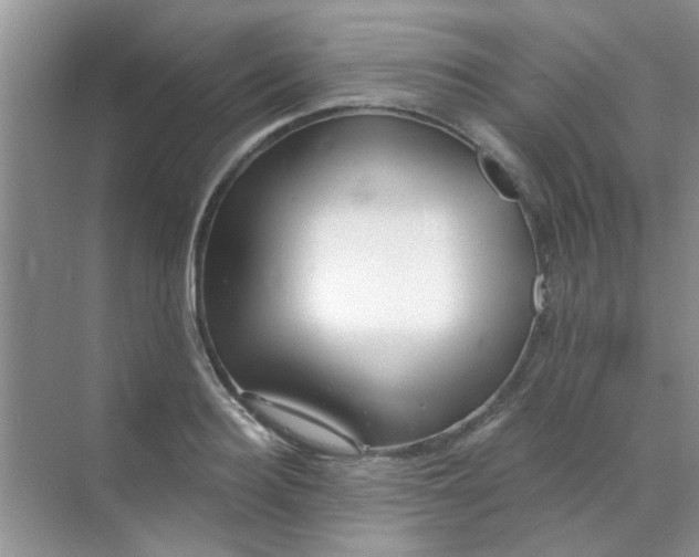 X0000070240940200606161842