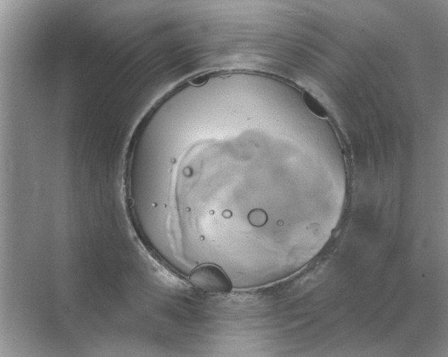 X0000070240941200606161842