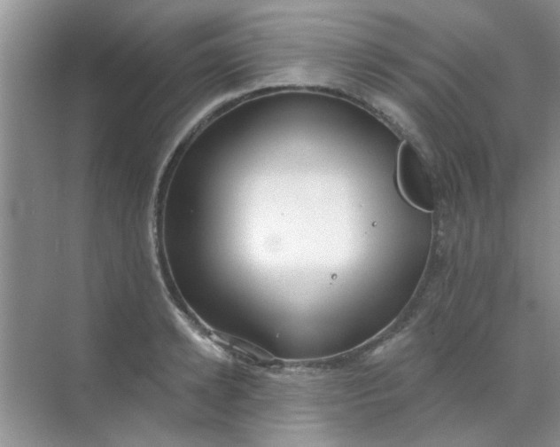 X0000070240942200606161842