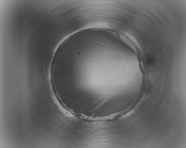 X0000070240944200606161842