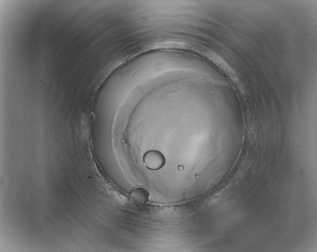 X0000070240945200606161842