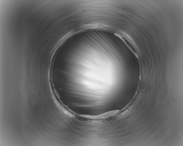 X0000070240946200606161842