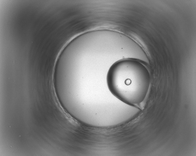 X0000070240948200606161842