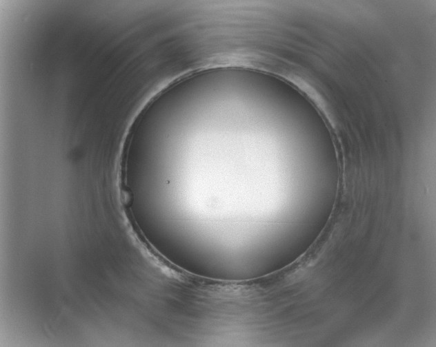 X0000070240949200606161842