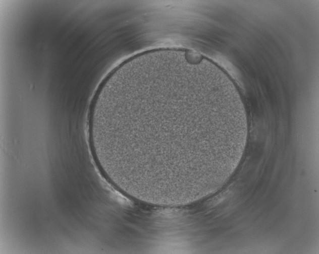 X0000070240950200606161842