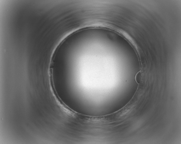 X0000070240951200606161842