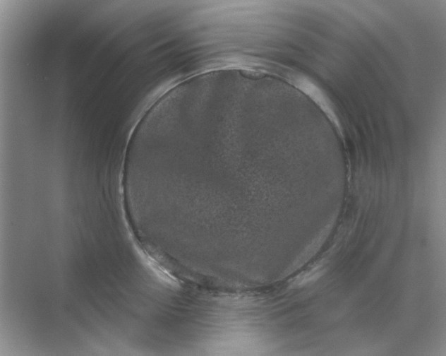 X0000070240954200606161842