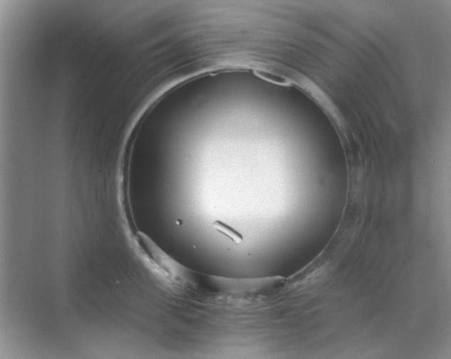 X0000070240955200606161842