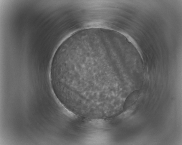 X0000070240957200606161842