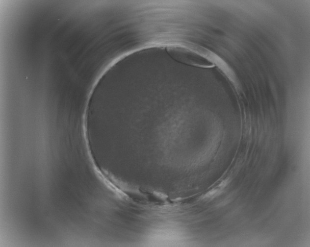 X0000070240958200606161842