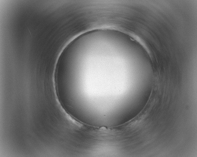 X0000070240959200606161842