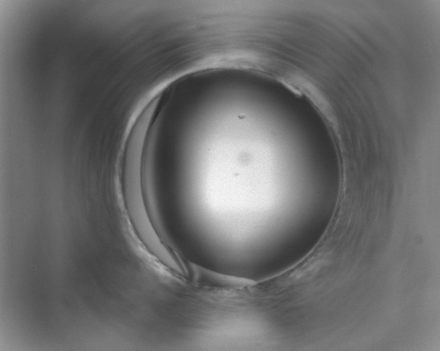 X0000070240960200606161842