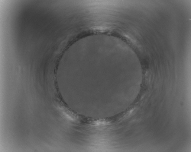 X0000070240961200606161841