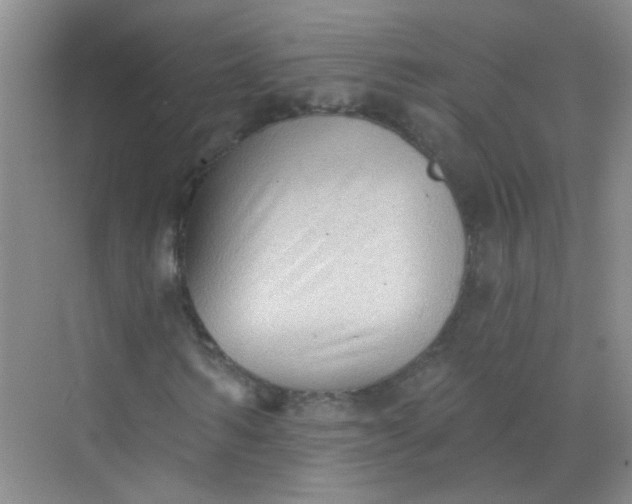 X0000070240962200606161841