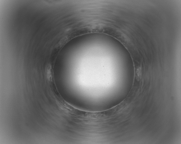 X0000070240963200606161841