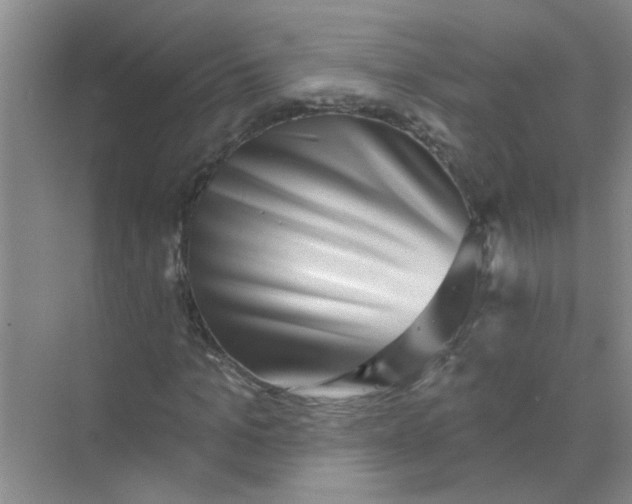 X0000070240965200606161841