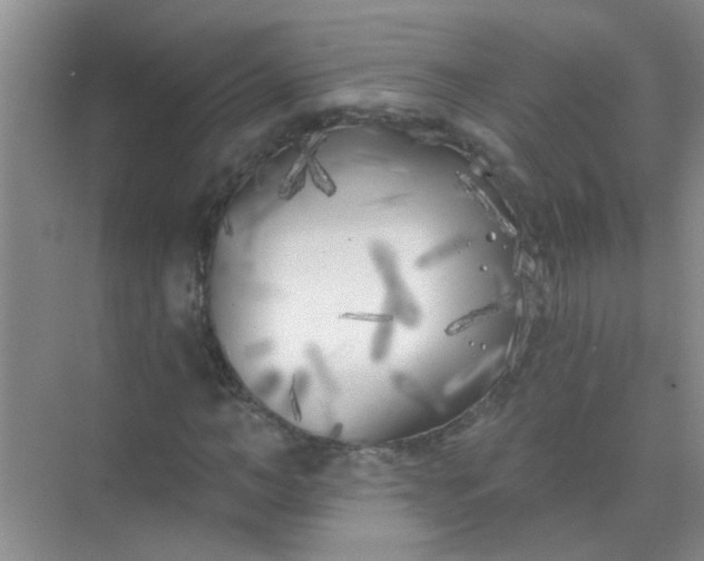 X0000070240966200606161841