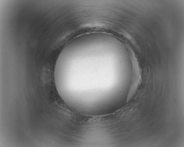 X0000070240967200606161841