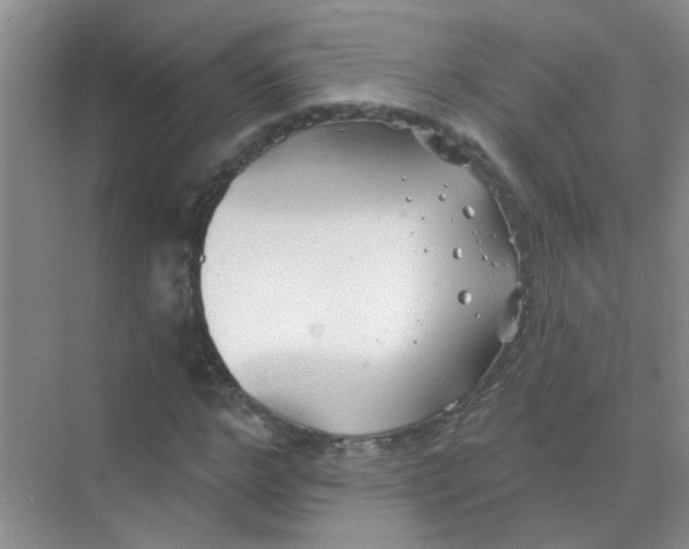 X0000070240968200606161841