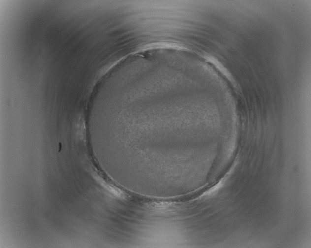 X0000070240969200606161841