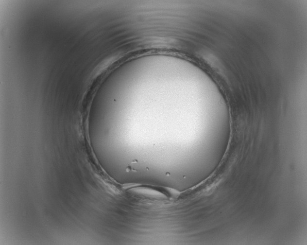 X0000070240970200606161841