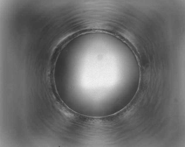 X0000070240971200606161841