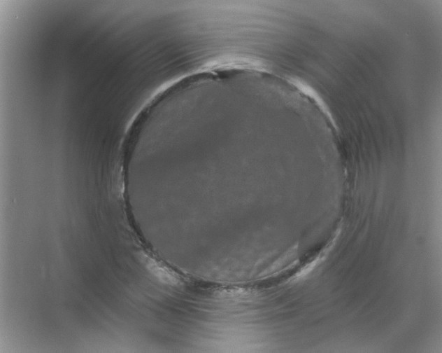 X0000070240973200606161841