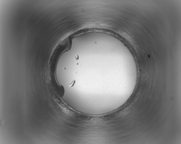 X0000070240974200606161841