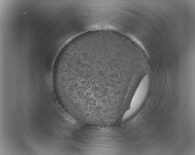 X0000070240975200606161841