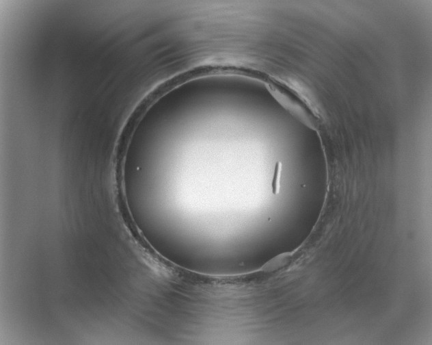 X0000070240976200606161841