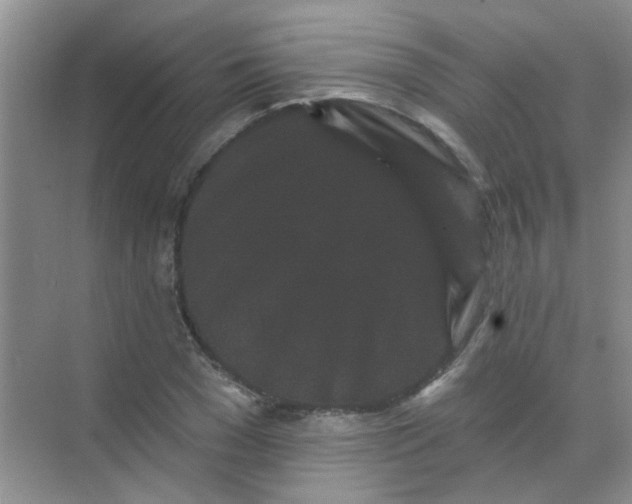 X0000070240977200606161841