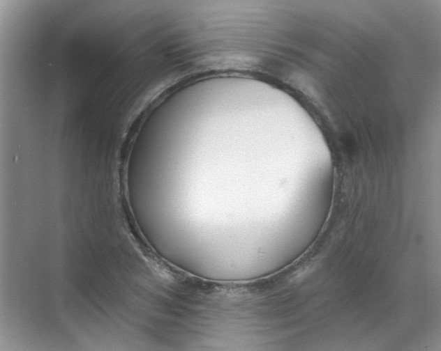 X0000070240978200606161841