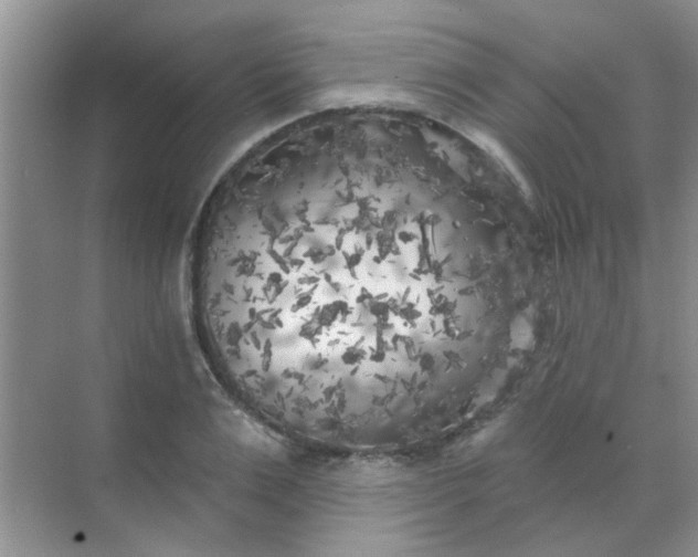 X0000070240983200606161841