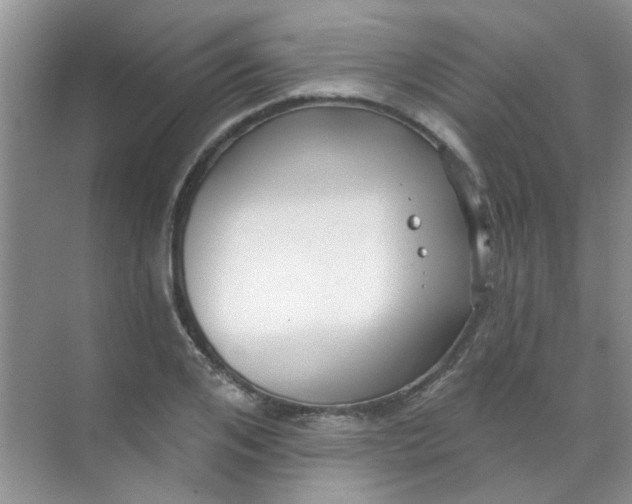 X0000070240984200606161841