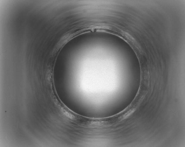 X0000070240985200606161841