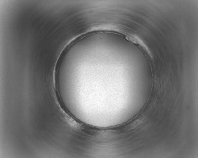 X0000070240988200606161841